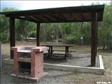 Aguirre Forest - GUAYAMA